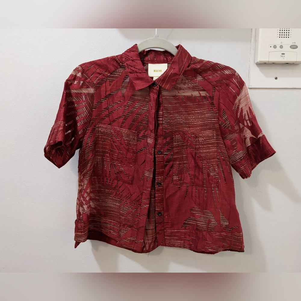 Sheer Button Down - image 1